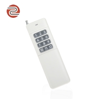 ZY21-12 12键大功率3000米麻豆TV在线观看遥控器